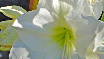 Casa Victor - Foto 4