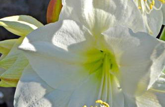 Casa Victor - Foto 4