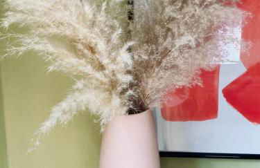 Erholen im Tiny House am Waldrand - Foto 7