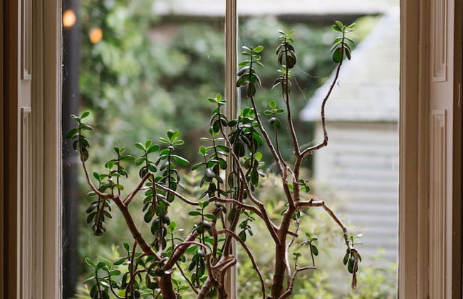 Ballyvolane House - Photo 48