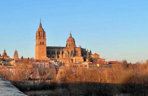 Almamater salamanca - Foto 33