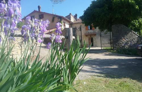 Casa Vacanze Podere Ugolini - Foto 1