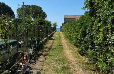 Casa Marina - Foto 54