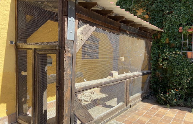 Cortijo Galván - Photo 44