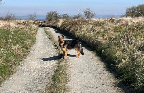 Rural, Secure Garden, Woodland Walks, 23 min to beach - Foto 24