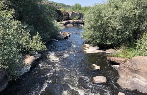 Casa do Pardal - Foto 32