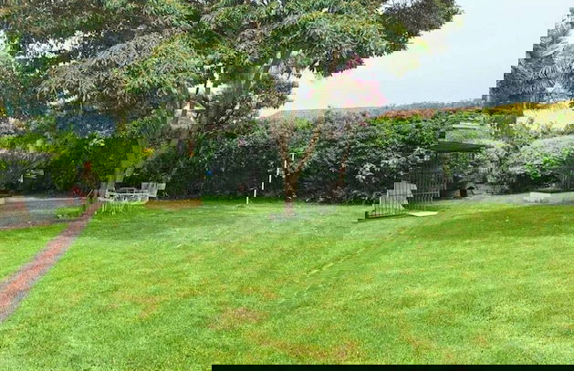 Charming 6-bed House With Swimming Pool in Harare - Foto 40