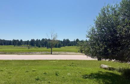 Cozy little pet-friendly cabin - Foto 14