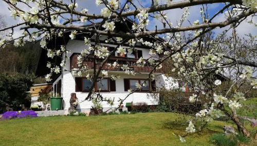 Haus Nöß - Foto 5, Garden, Garden view