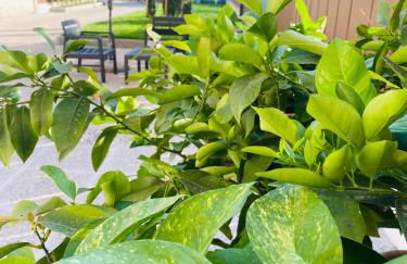 Sul VenTo del Po - Foto 74