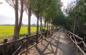 Lo Petit Delta - Foto 21