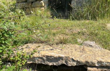 MOLINO DOLZ - Foto 30