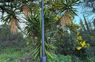 Luna House Sevilla - Foto 35