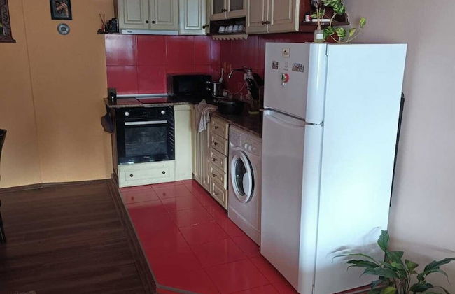 ESCUS HORSES - Foto 11