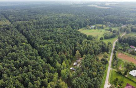 "Las po pas" domki na Roztoczu - Horyniec-Zdrój - Foto 10