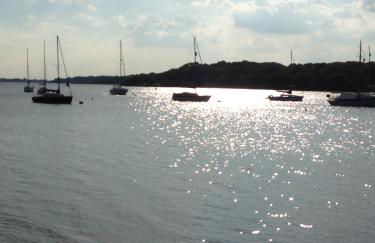 The Loft, Steep, Petersfield in Collyers Estate part of The South Downs National Park. - Foto 13