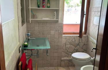 Queen of lake - Foto 14