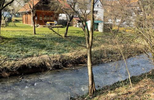 Garten Eden - Foto 4