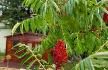 House4Seasons - Foto 54