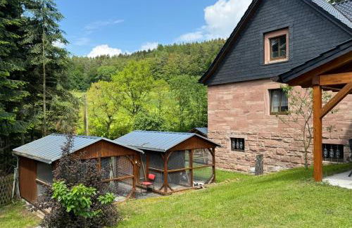 Apartment im Wald - mit Schwimmbad! - Foto 36