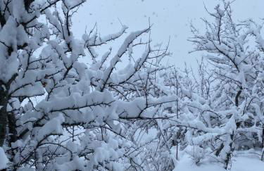 DUPLEX Les Plautus - Foto 21