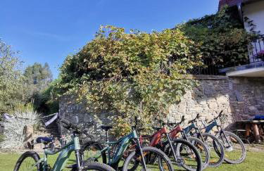 Strefa Ciszy -Lawenda - Foto 23