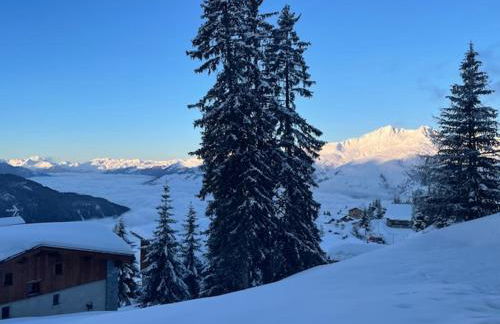 Le 1954 La Rosière - Foto 70