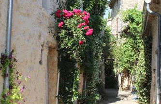 Maison de village Hameau de Veaux - Foto 4