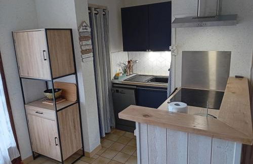 Appart Oléron Vert Bois 4 pers - Foto 1