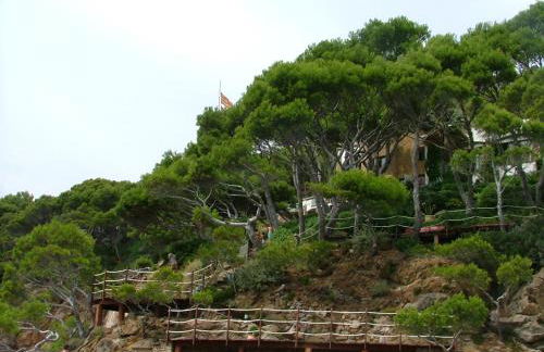 Cap Sa Sal Navy, Begur, Girona - Foto 32
