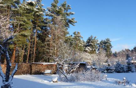 Amselgarten - Foto 31