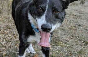 Pacific Coast Hwy Bunkhouse in San Luis Obispo - Foto 17