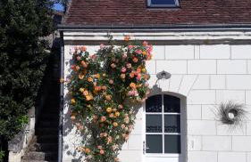 Le Gîte des Marguerites - Foto 41