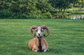 Mazury Domek nad Łowiskiem Muławki - Foto 20