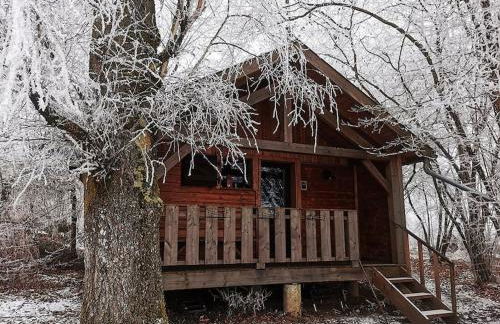 Le Noisetier - Foto 8