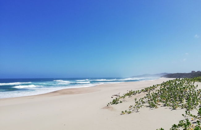 Caribbean Estate Deluxe - Photo 41