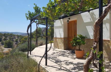 Cortijo Blanco - Foto 14