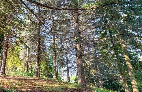 Cozy Home In Marsaglia With Kitchen - Foto 35