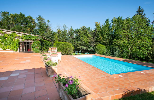 Bardeggiano - Caterina 3 (COL246) - Foto 59