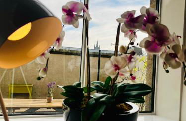 Central, Modern Apartment - Private Terrace - Dog Friendly - Photo 15