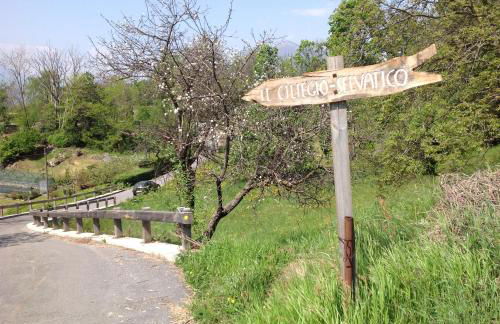 Il Ciliegio Selvatico - Foto 23