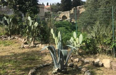 Bouganville in Villa Greco - Foto 69