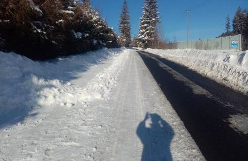 Górski Zakątek z kominkiem i tarasem - Foto 39