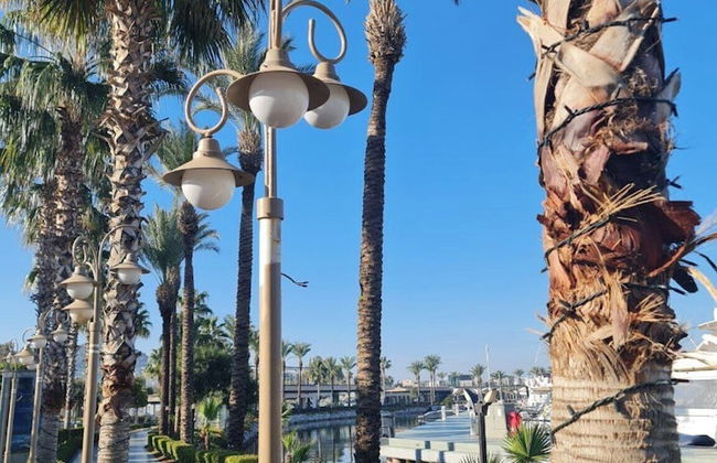 Garden House in Yalikavak - Foto 11