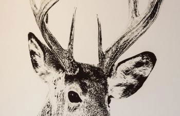 La Cabane de Tim - Foto 20