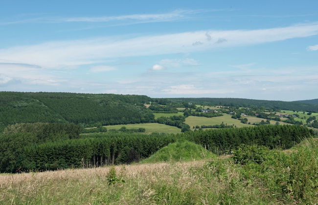 Desnie Farmhouse With Pool - Photo 44
