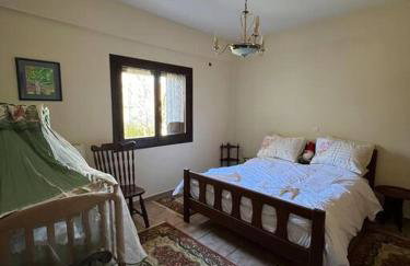 Ανάμεσα στα Έλατα - Foto 12