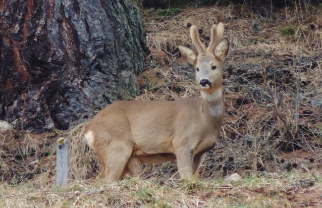 Casa Angelo - Foto 13