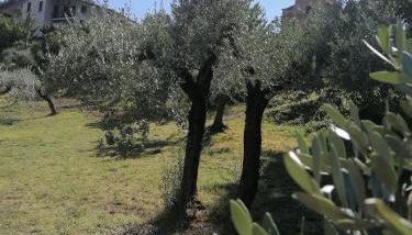 Agriturismo Etico Le Grazie - Foto 5