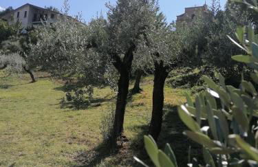 Agriturismo Etico Le Grazie - Foto 5